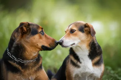 Illustration pairing - Image 1