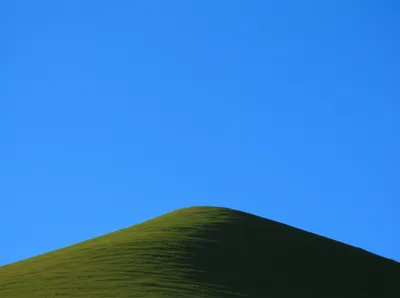 Illustration crest - Image 1