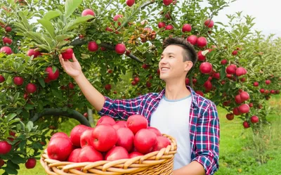 Illustration given - Image 1