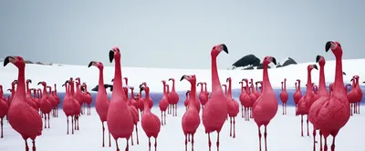 Illustration peculiar - Image 1