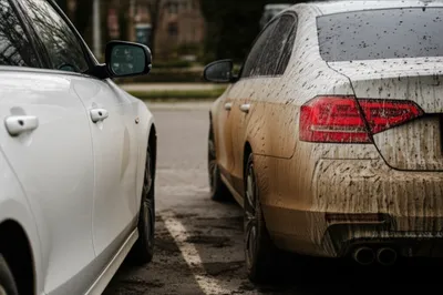 Illustration dirtier - Image 1