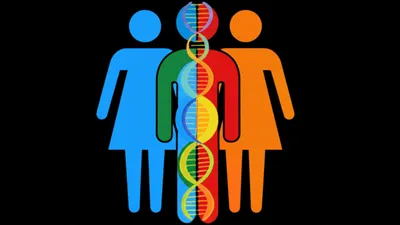 Illustration sexes - Image 1