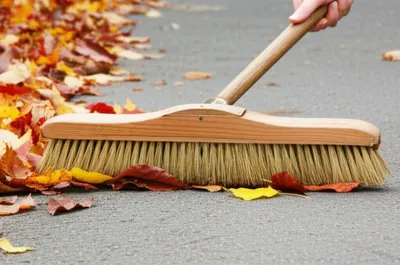 Illustration brushed - Image 1