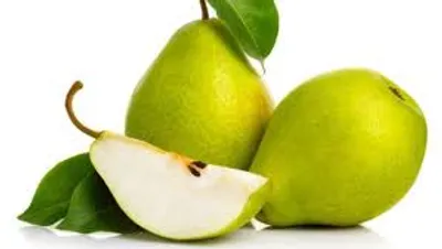 Illustration pear - Image 2