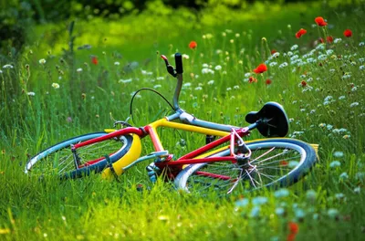 Illustration parked - Image 1