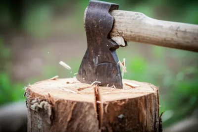 Hình ảnh minh họa clave - Ảnh 1