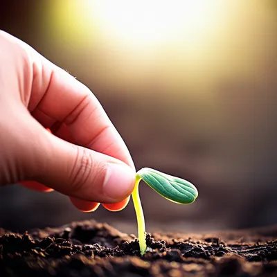 Illustration coaxed - Image 1