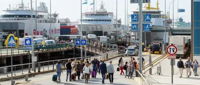 Illustration terminal - Image 1