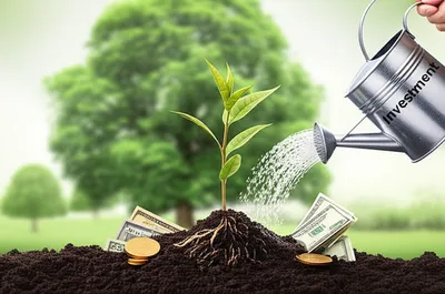 Illustration financed - Image 1