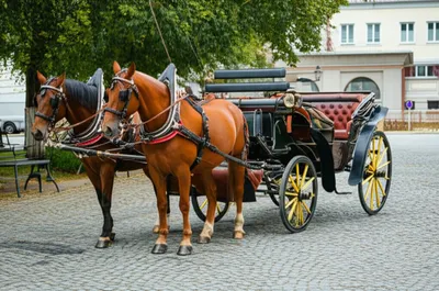 Illustration carriage - Image 1