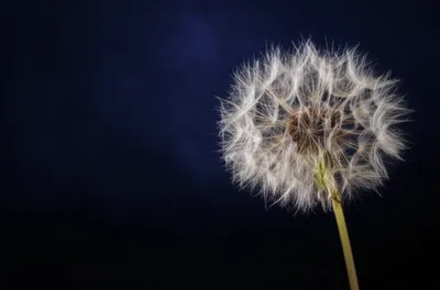 Illustration lighter - Image 1