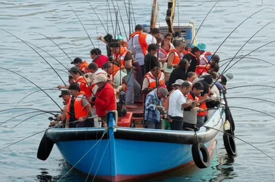 Illustration sardined - Image 1