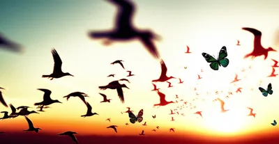 Illustration transient - Image 1