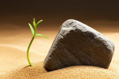 Illustration rough - Image 1