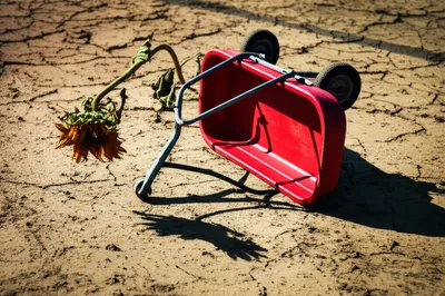 Illustration fatal - Image 1