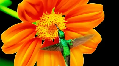 Illustration clipping - Image 1