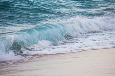 Illustration left - Image 1