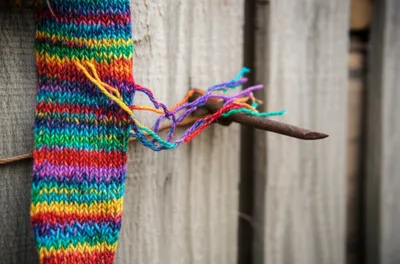 Illustration snag - Image 1