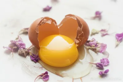 Illustration huffy - Image 1