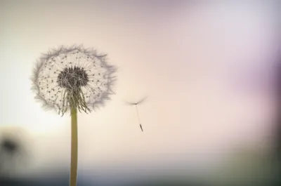 Illustration lighter - Image 1