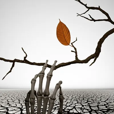 Illustration starve - Image 1