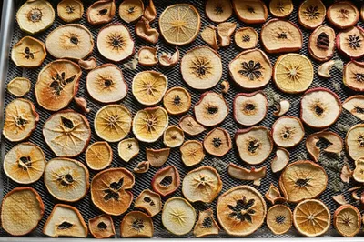 Illustration season - Image 1