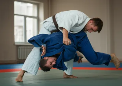 Illustration tori - Image 1