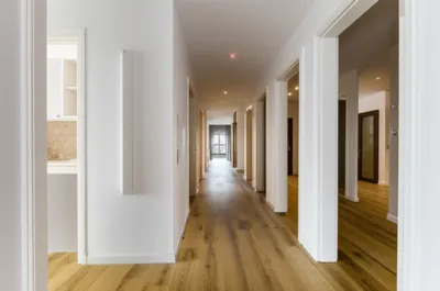 Illustration enfilading - Image 1