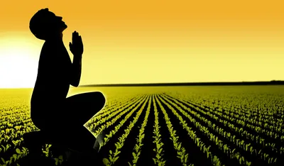 Illustration dedicating - Image 1