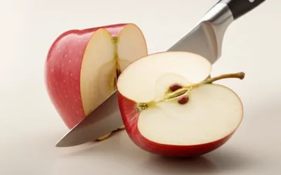 Illustration bisecting - Image 1