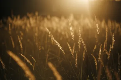 Illustration waiving - Image 1