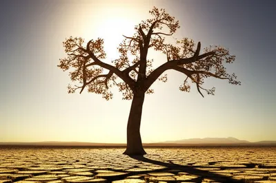 Illustration scant - Image 1