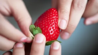 Illustration hulled - Image 1