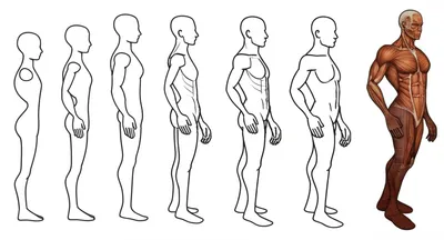 Illustration elaborated