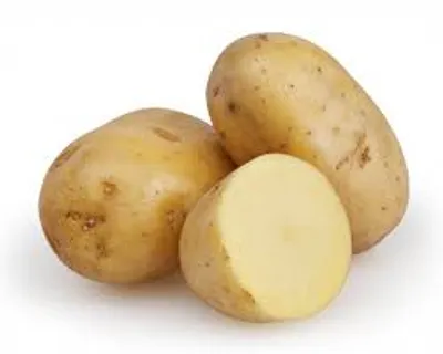 Illustration potato - Image 3