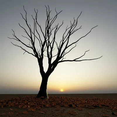 Illustration deaths - Image 1