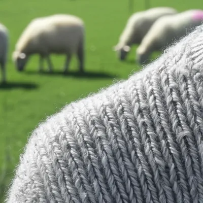 Illustration woolen - Image 1