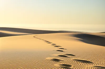 Illustration spell - Image 1