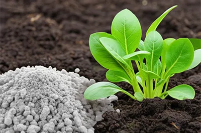 Illustration potash - Image 1