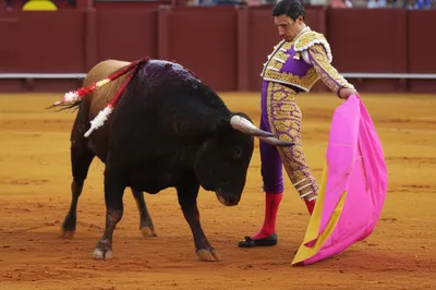 Illustration quite - Image 1