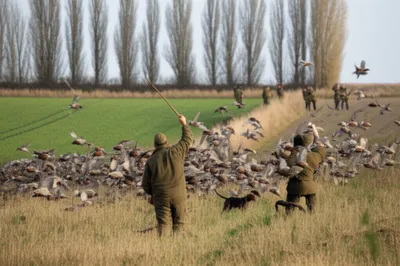 Illustration beater - Image 1