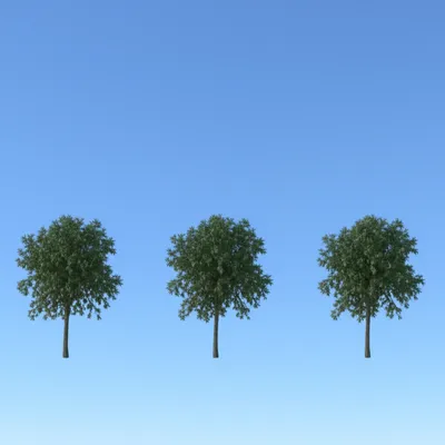 Illustration spacing - Image 1