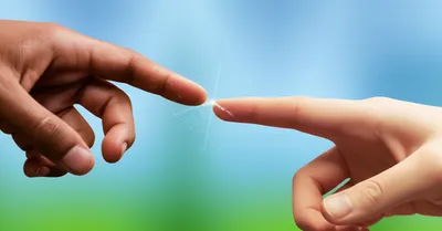 Illustration adjoin - Image 1