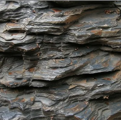 Illustration bats - Image 1