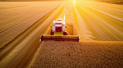 Illustration limits - Image 1