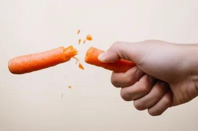 Illustration brash - Image 1