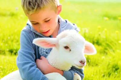 Illustration cossets