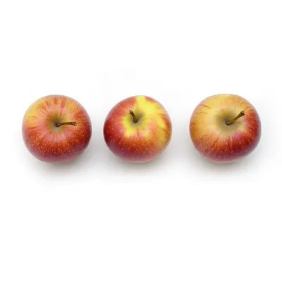 Illustration spare - Image 1