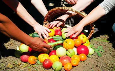 Illustration generosity - Image 1