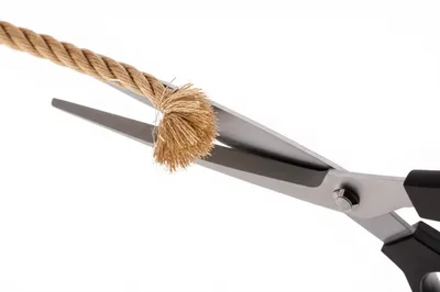 Illustration shorted - Image 1